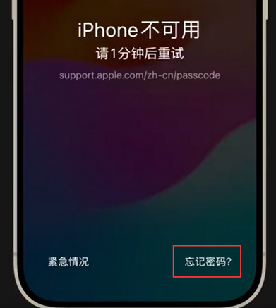 工布江达苹果手机密码维修分享iPhone忘记了刚设置的密码 
